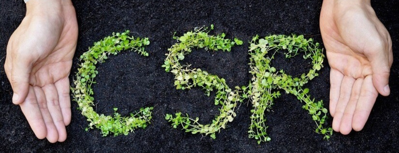 Untitled design (3)